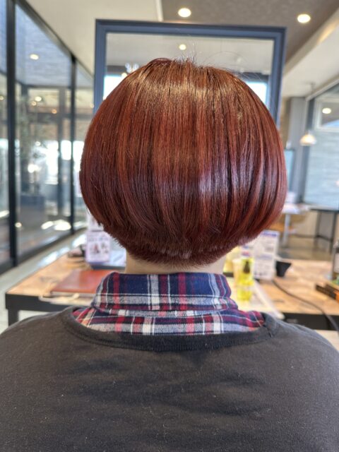 写真:After